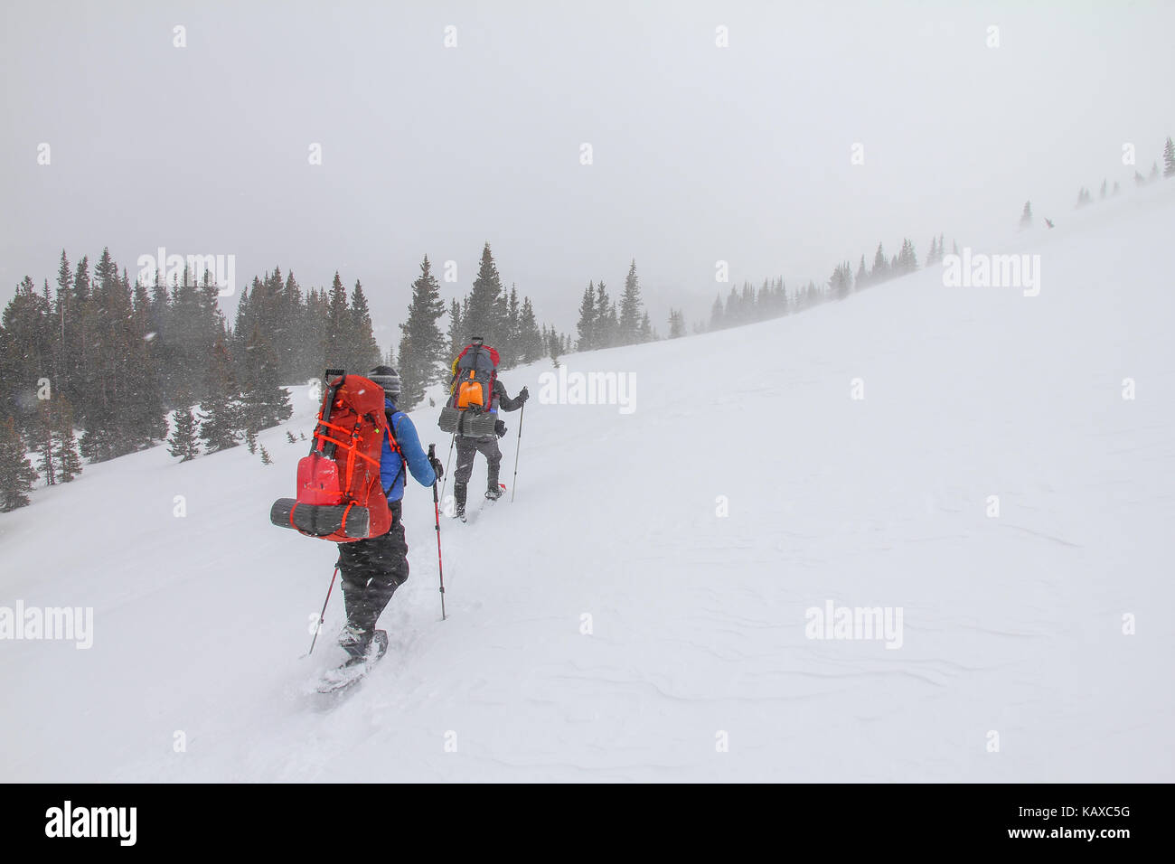 Zwei Rucksacktouristen Wanderung durch einen Schneesturm am Mt. quandaray ein 14 er in Colorado, USA. Stockfoto