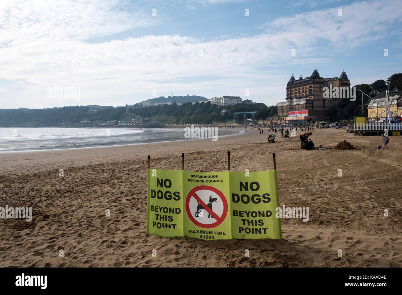 Hunde sind am Strand von Mai bis September, Scarborough, Großbritannien, nicht erlaubt Stockfoto