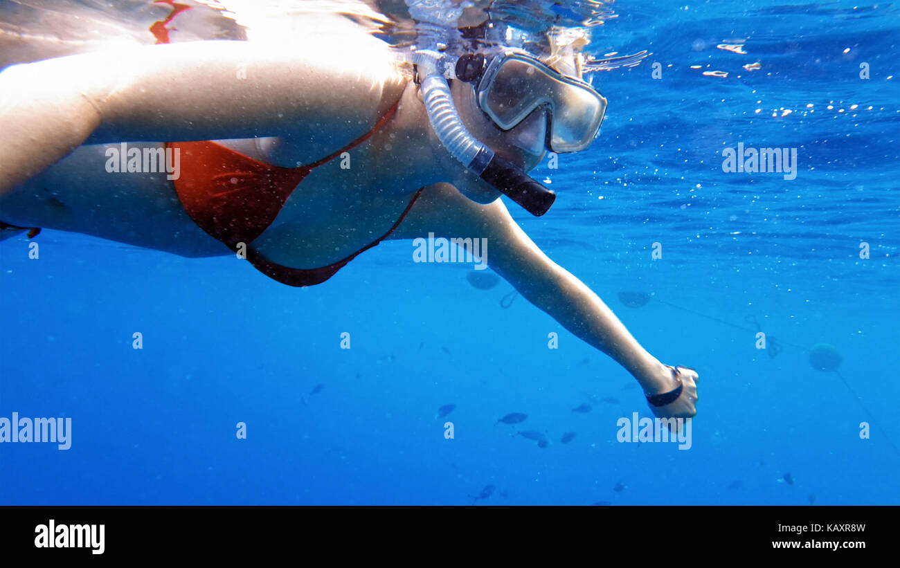 Frau Tauchen Unterwasser in Schnorcheln Tauchen Maske Stockfoto