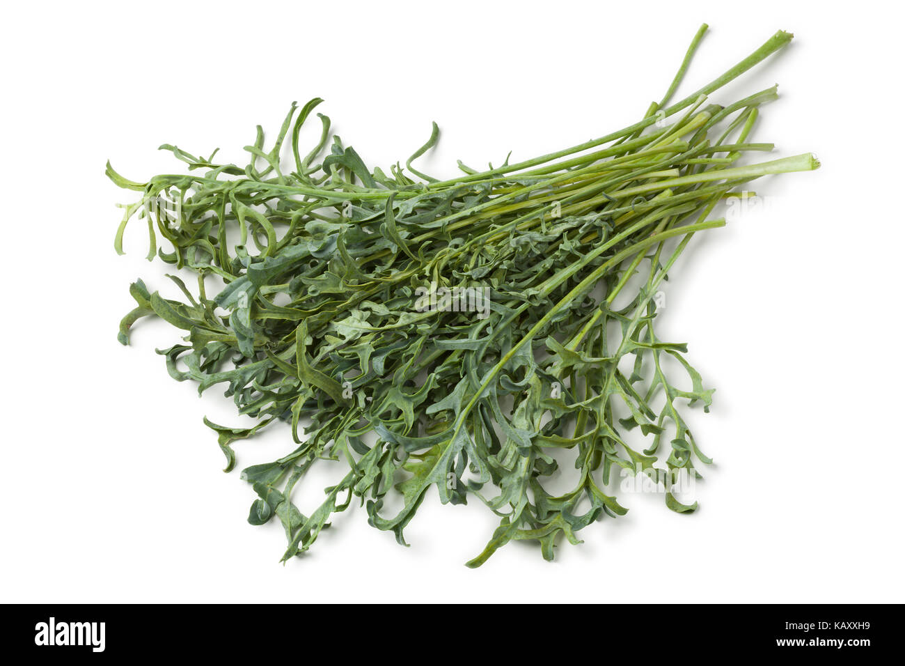 Haufen frischen homegrown Jagallo Nero Kale auf weißem Hintergrund Stockfoto