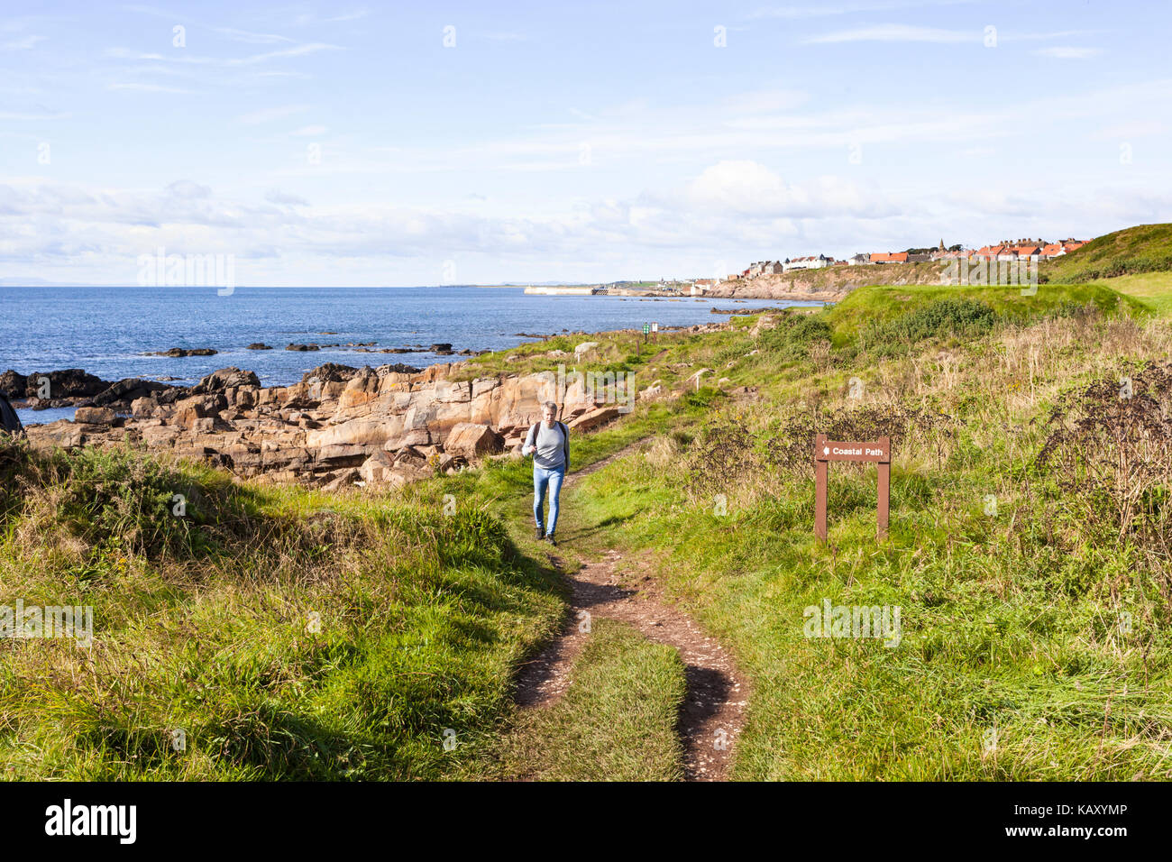 Ein Wanderer auf der Fife Coastal Path zwischen Anstruther und Pittenweem, Fife, Schottland Großbritannien Stockfoto