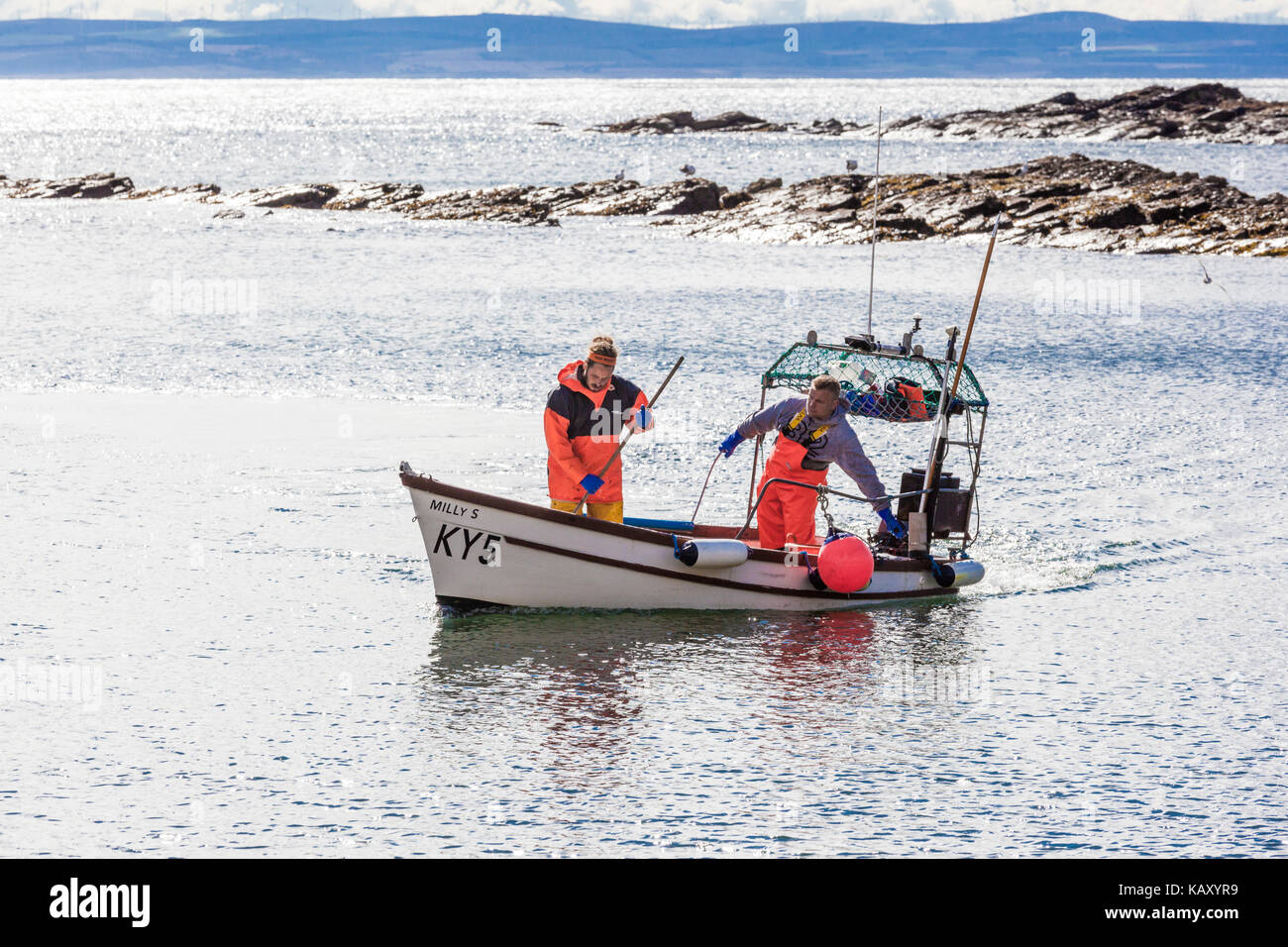 Ein Hummer fischen Boot in den Hafen bei Crail, Fife, Schottland Großbritannien Stockfoto