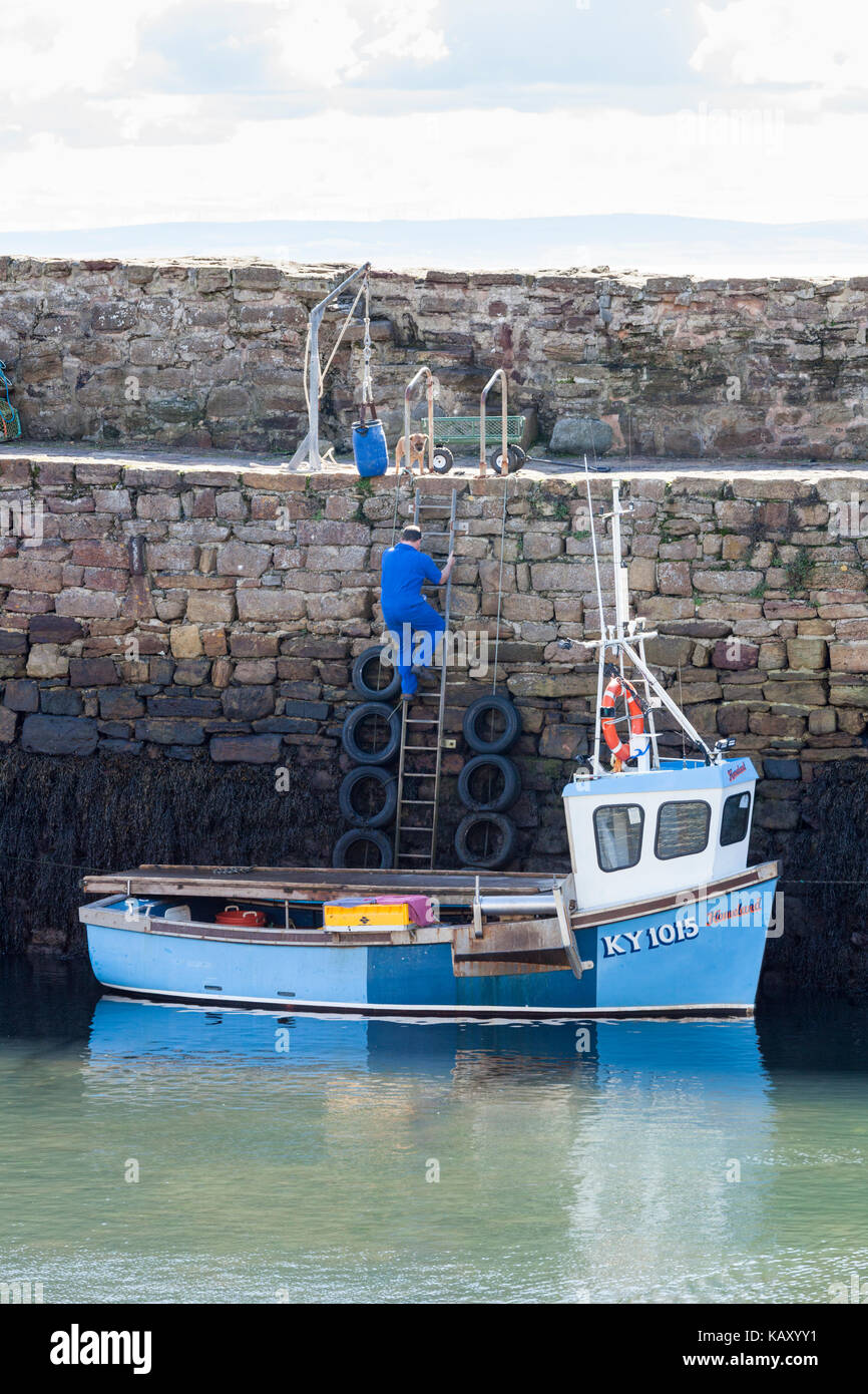 Ein hummerfischer sein Boot vorbereiten, bevor Sie von Crail Hafen, Fife, Schottland Großbritannien Stockfoto