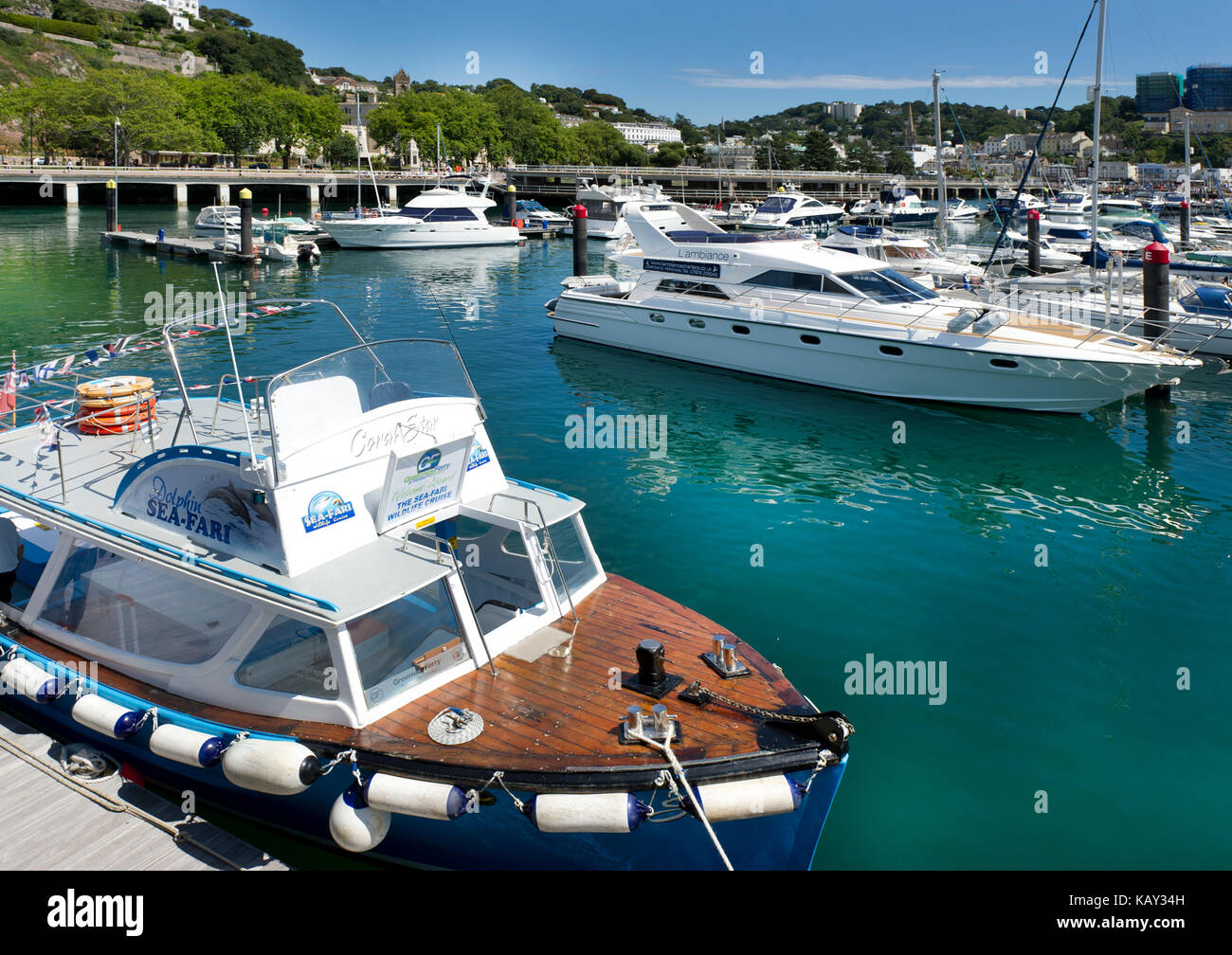 Vergnügungsboot mit Sea Safaris an einem sonnigen Tag am Princess Pier im Hafen von Torquay, Devon, Großbritannien. Seafood Coast, Englische Riviera Stockfoto