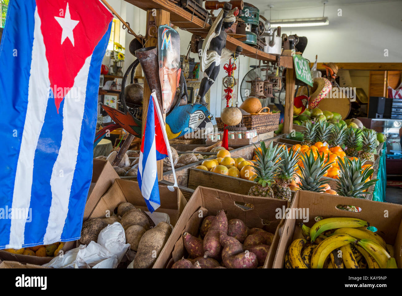 Miami, Florida. Little Havana kubanische Obst lagern, Los Pinarenos Fruteria. Stockfoto