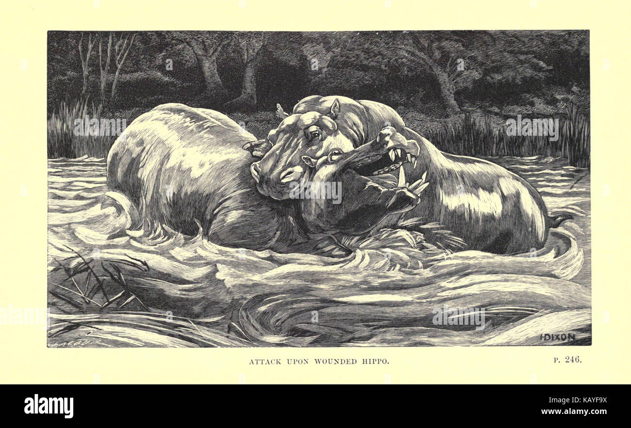 Wilde Tiere und ihre Art und Weise (Platte 15) (6505686555) Stockfoto