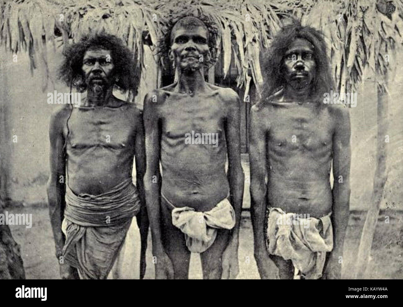 Vanadi Hut ist ein kleines Gebäude in einer abgelegenen Gegend, das wahrscheinlich für Unterschlupf- oder Forschungszwecke genutzt wird. Sein Design und seine Lage deuten auf seine Funktion für vorübergehende Aufenthalte oder Feldarbeiten in rauem Gelände hin. Stockfoto