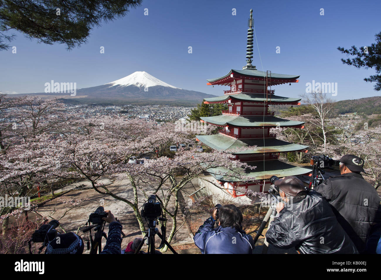 Japan, Pagode im arakura sengen Shrine, Kirschblüten und Mount Fuji, Fotograf, Stockfoto