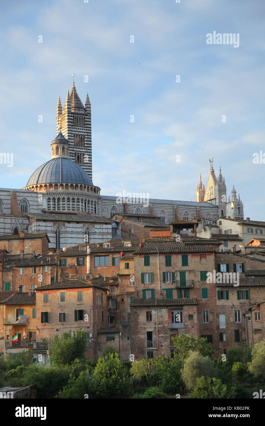 Italien, Toskana, Siena, Stadtbild, Kathedrale, Duomo Santa Maria Assunta, Stockfoto