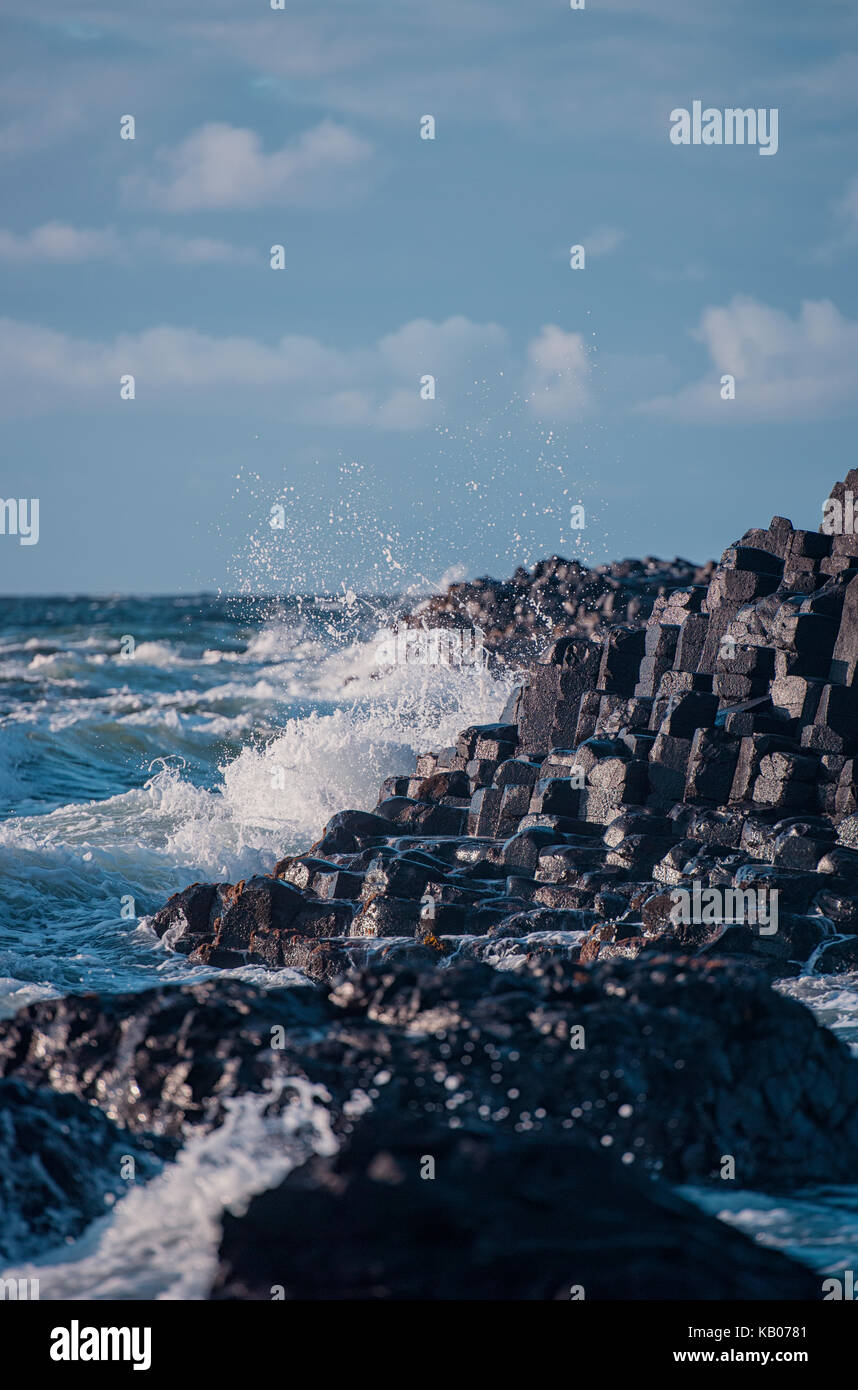 Der Giant's Causeway, County Antrim, Nordirland Stockfoto