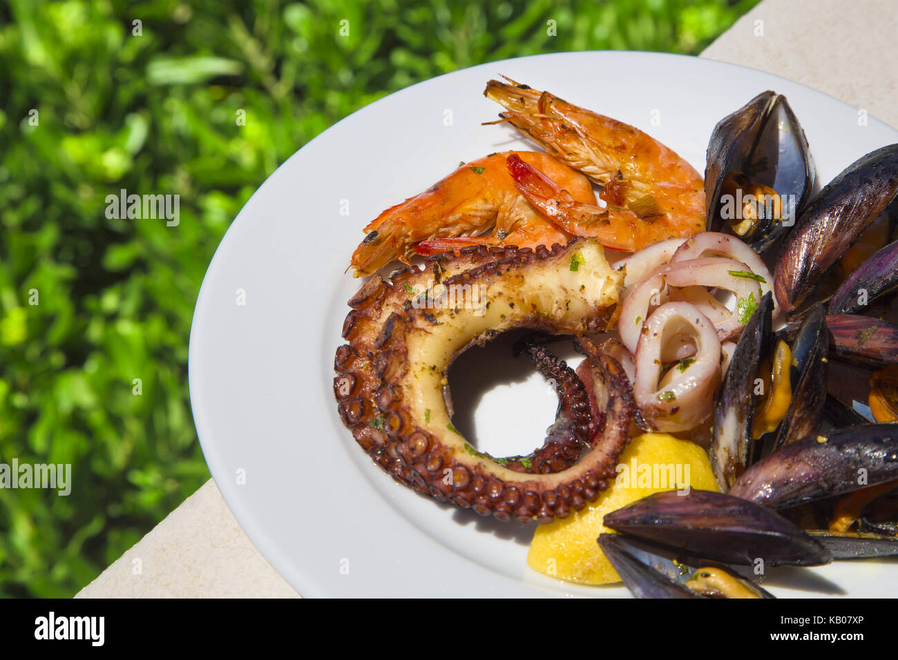 Mischung aus Muscheln, Tintenfisch, Tintenfisch und Garnelen Stockfoto