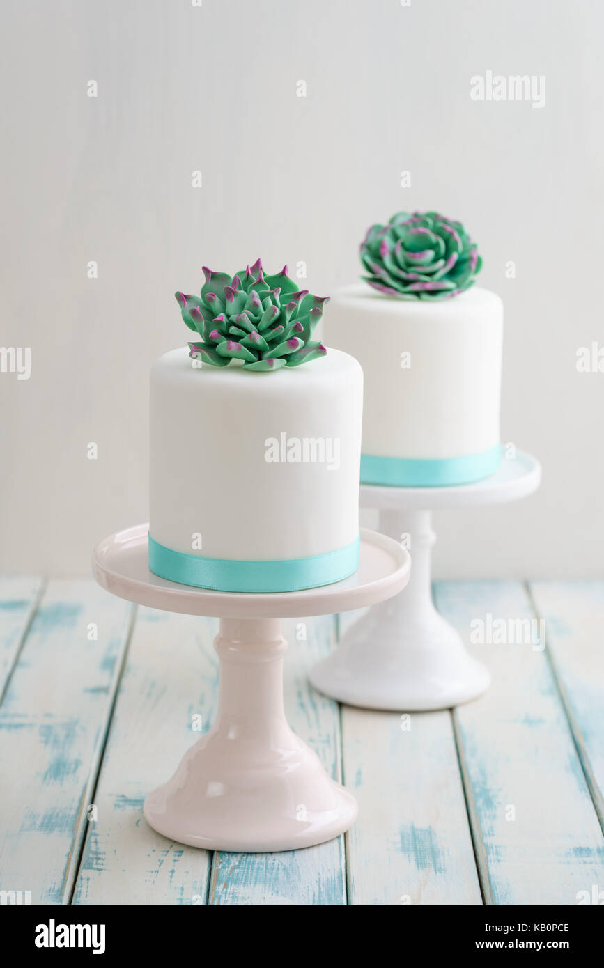 Zwei Weiße mini Hochzeitstorten covererd mit Fondant mit Gum paste Sukkulenten auf Kuchen steht Stockfoto