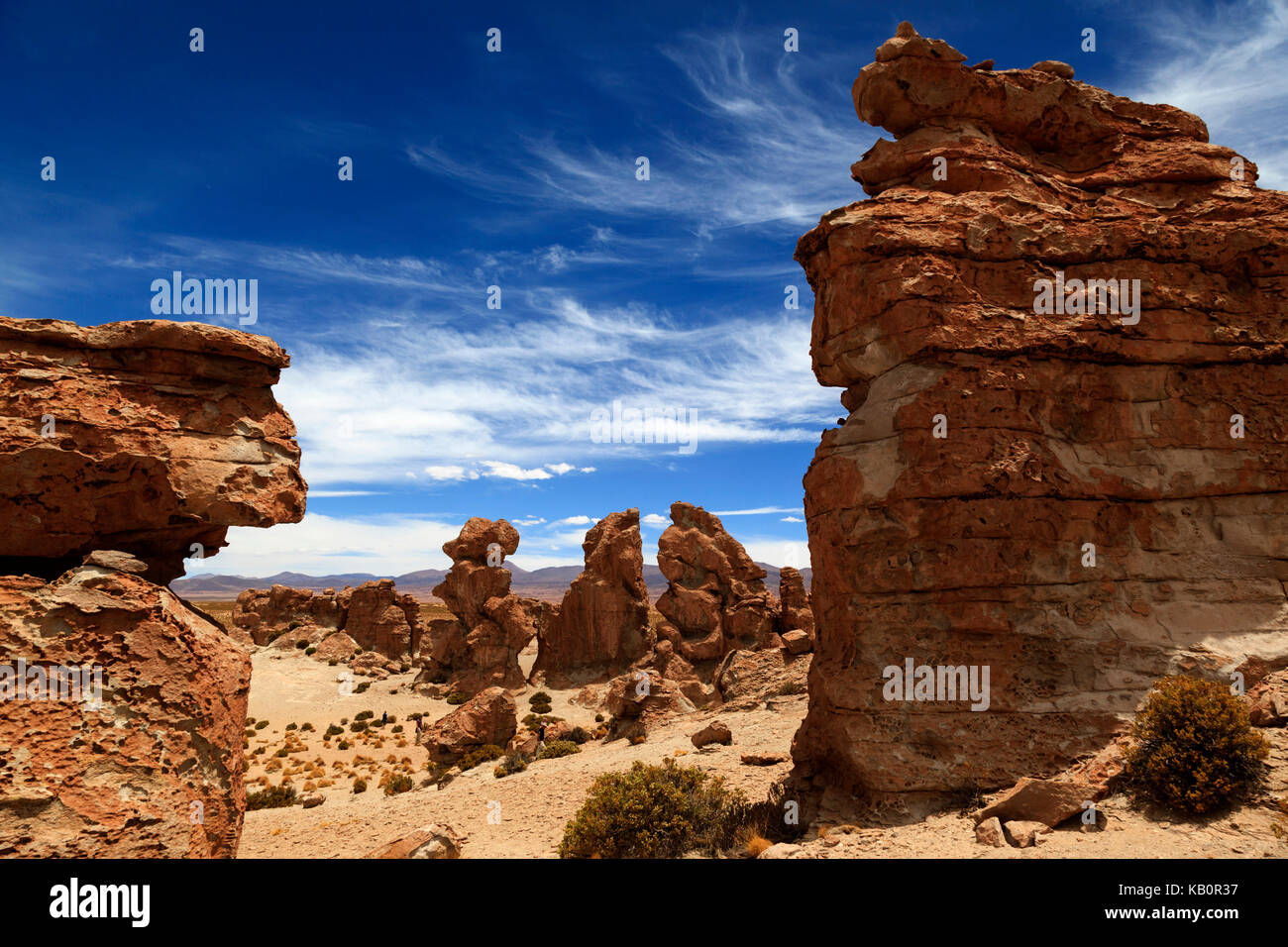 Valle de Las Rocas, bolivianischen Altiplano in Bolivien Südamerika Stockfoto