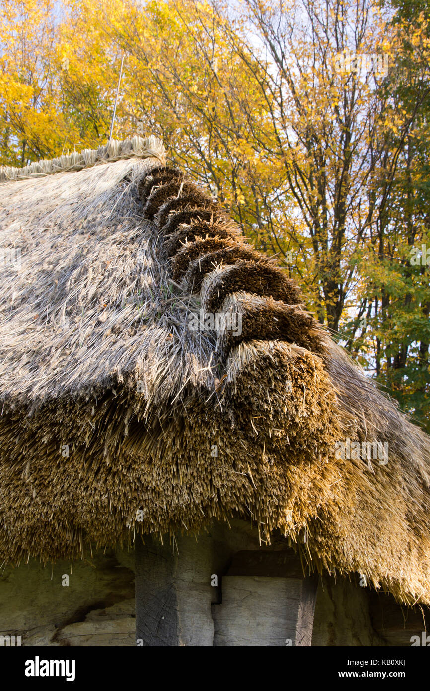 Detail der Ecke eines Schilf Dach Stockfoto