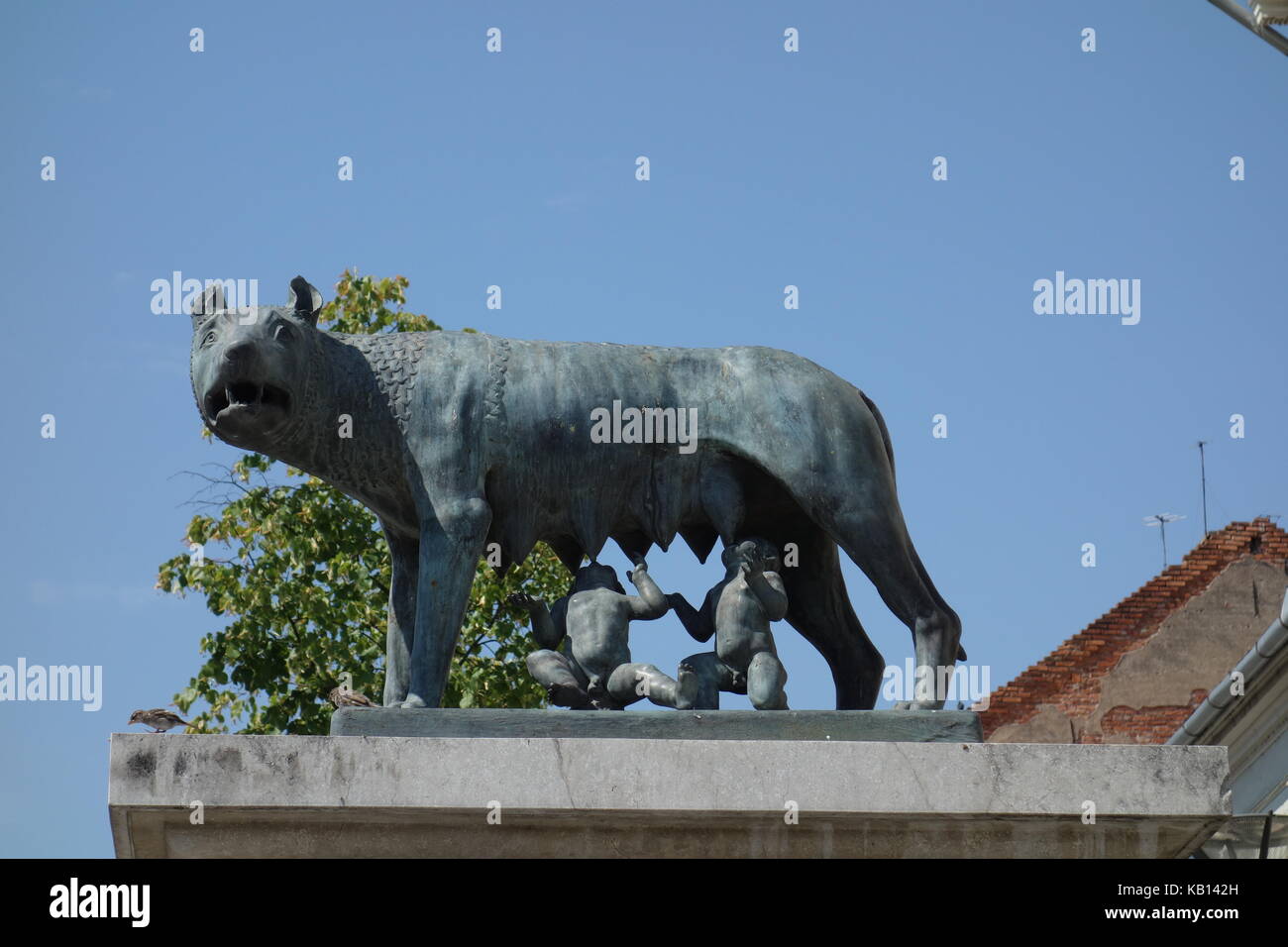Skulptur von Romulus und Remus das Trinken der Milch von einer Wölfin in Cluj Napoca, Rumänien Stockfoto