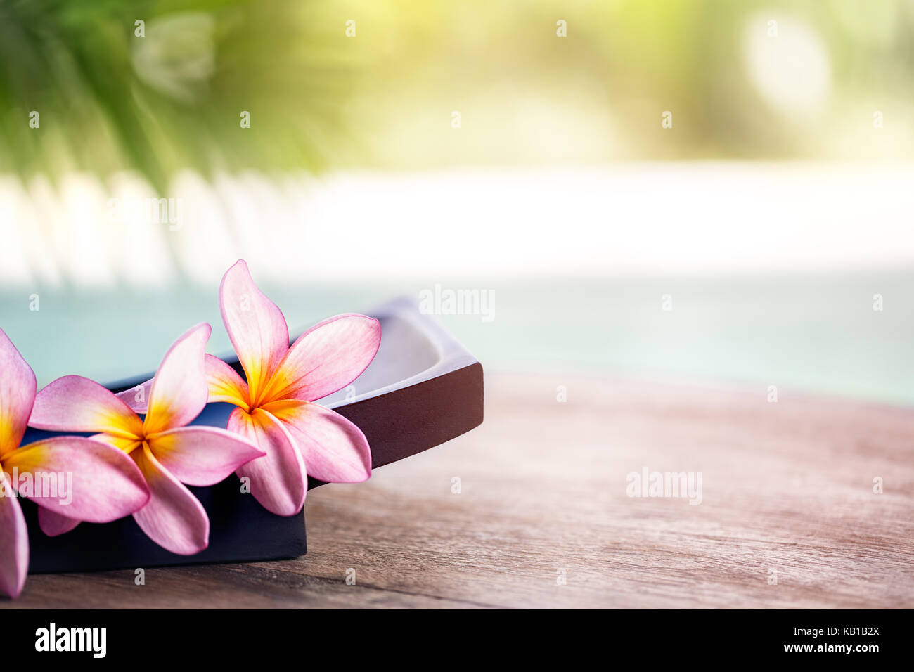 Frangipani tropical spa Blume, spa und wellness Hintergrund Stockfoto