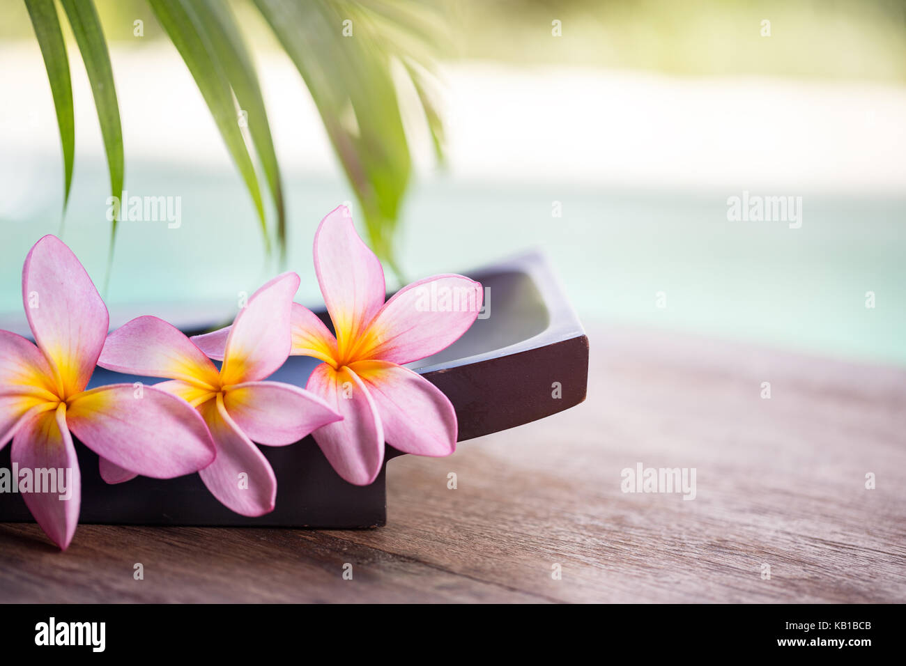 Spa und Wellness Hintergrund, tropischen Umgebung mit Frangipani Blume Stockfoto