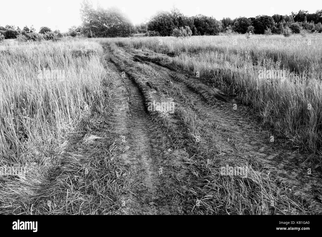 Eine dirt road, die durch das Feld. Spuren von großen Landmaschinen sind deutlich sichtbar. Das Foto ist schwarz und weiß. Stockfoto