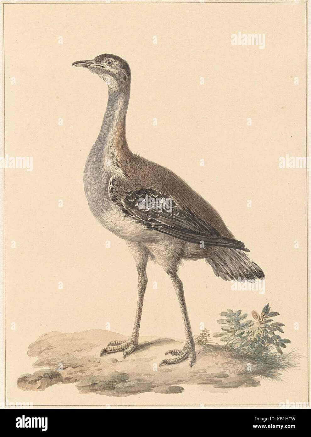 Der Begriff „Falle“ bezieht sich auf ein Gerät oder einen Mechanismus, mit dem etwas gefangen oder gehalten wird, was oft mit der Jagd oder dem Fangen zusammenhängt. Es kann sich auch auf eine Strategie oder Situation beziehen, die dazu dient, jemanden oder etwas unerwartet zu fangen, wie etwa bei Sport oder Spielen. Stockfoto