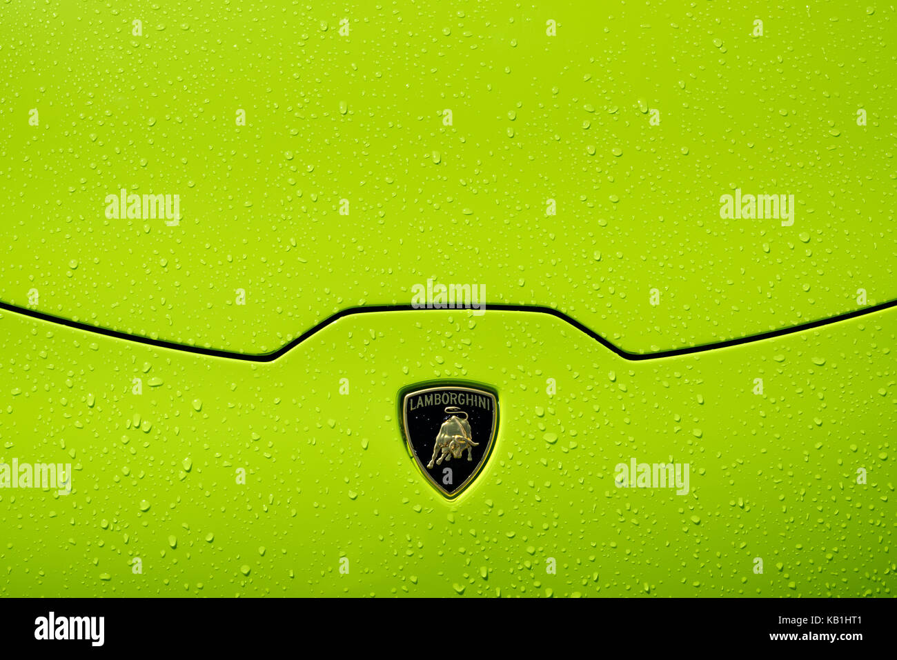 Lamborghini LP 610-4 Huracán Motorhaube Detail mit Abzeichen, Lindgrün Lack und Regentropfen. Stockfoto