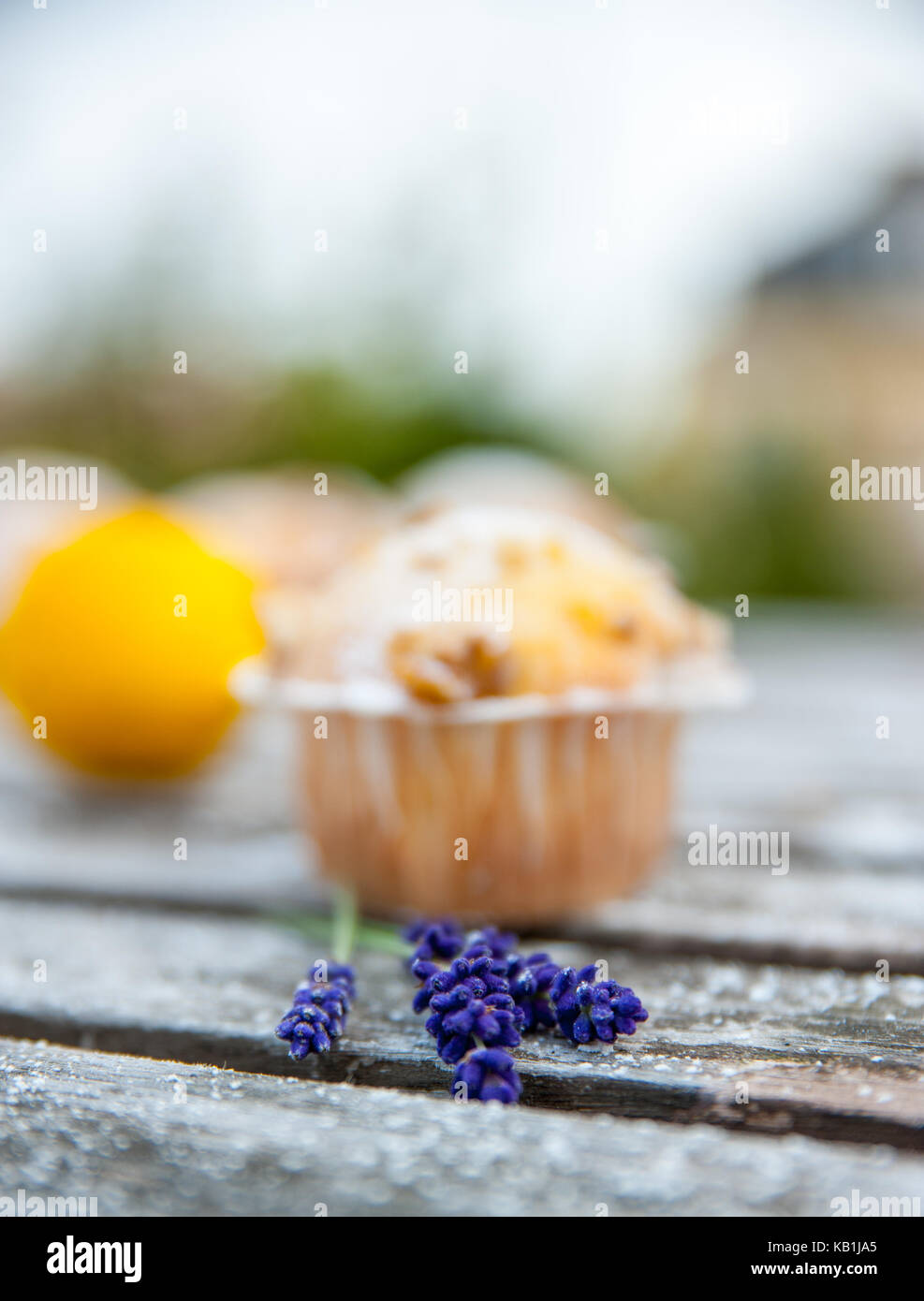 Hausgemachte Kuchen mit frischen Zitronen- und Lila Blume Stockfoto
