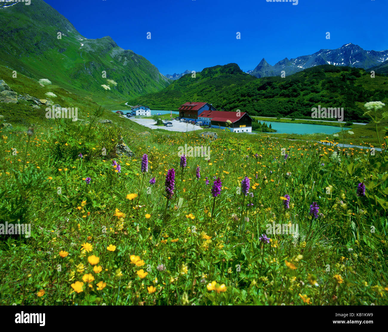 Zeinisjoch Haus mit Blumenwiese, Stockfoto