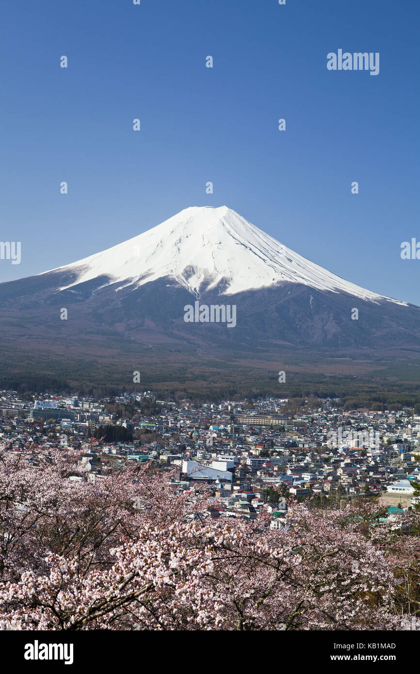 Japan, Kirsche, Blüten, fujiyoshida Stadt und Fuji Berg, Stockfoto