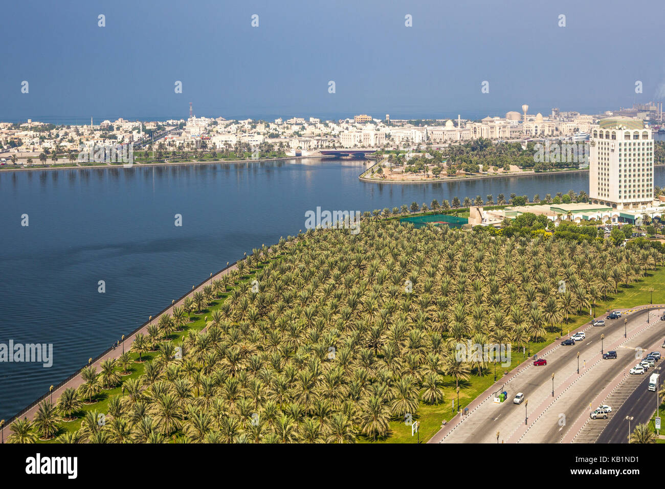 Blick auf einem Palm Grove, Sharjah, Stockfoto