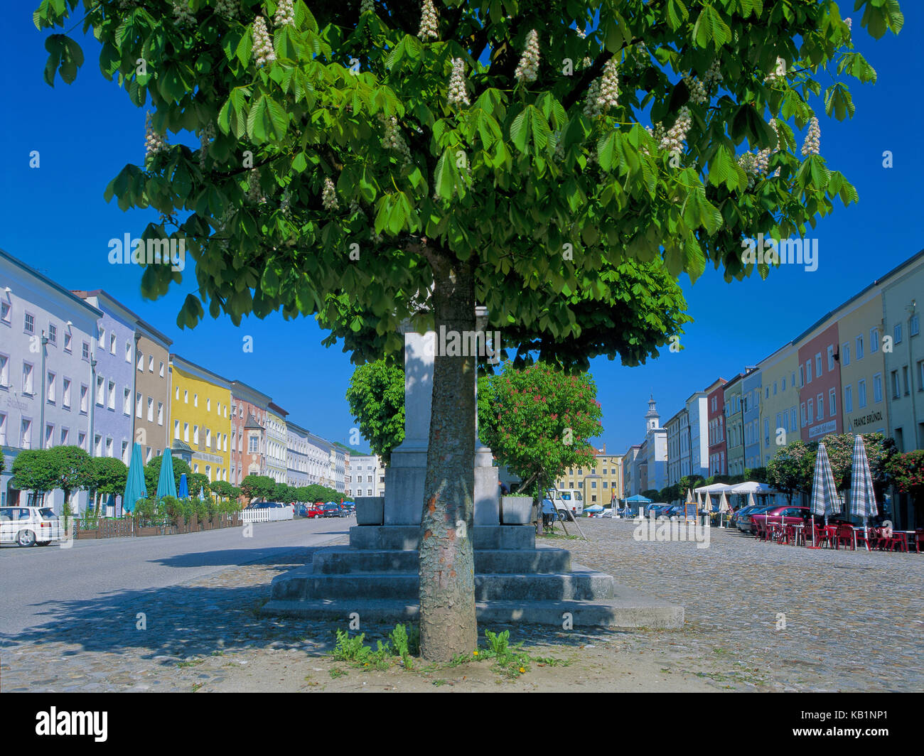 Tittmoning mit Kastanienbaum, Stockfoto