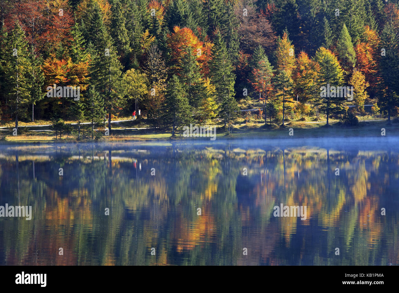 Deutschland, Bayern, Oberbayern, Werdenfelser Land (Region), Ferchensee, Stockfoto