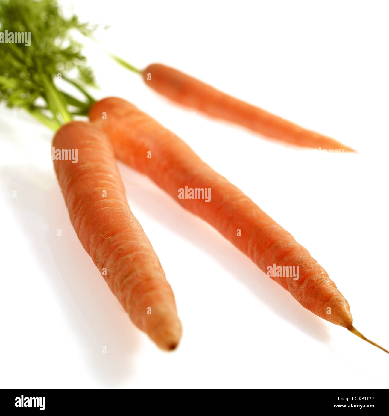 Karotten, Daucus carota, Gemüse, weißer Hintergrund, Stockfoto