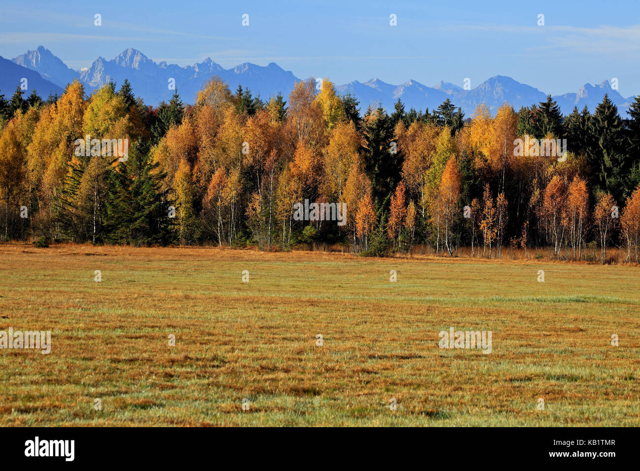 Deutschland, Bayern, Oberbayern, Pfaffenwinkel (Region), tannheimer Alpen, Tannheimer Berge, Stockfoto