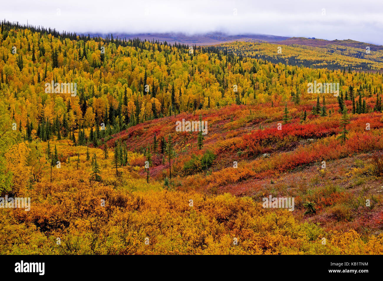 Nordamerika, USA, Alaska, Landschaft in James Dalton Highway, Stockfoto