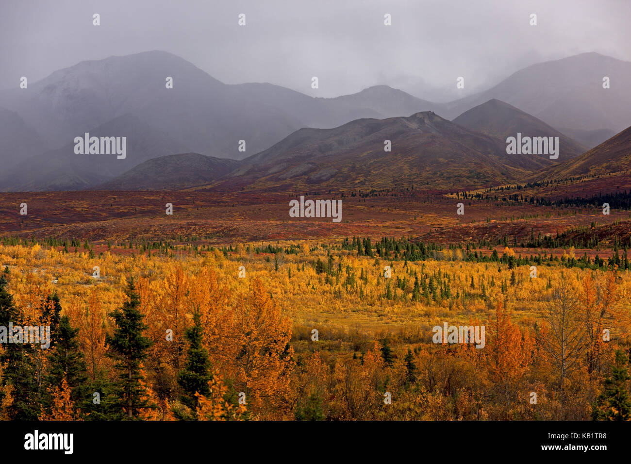 Nordamerika, USA, Alaska, Denali National Park, Alaska Range, Stockfoto