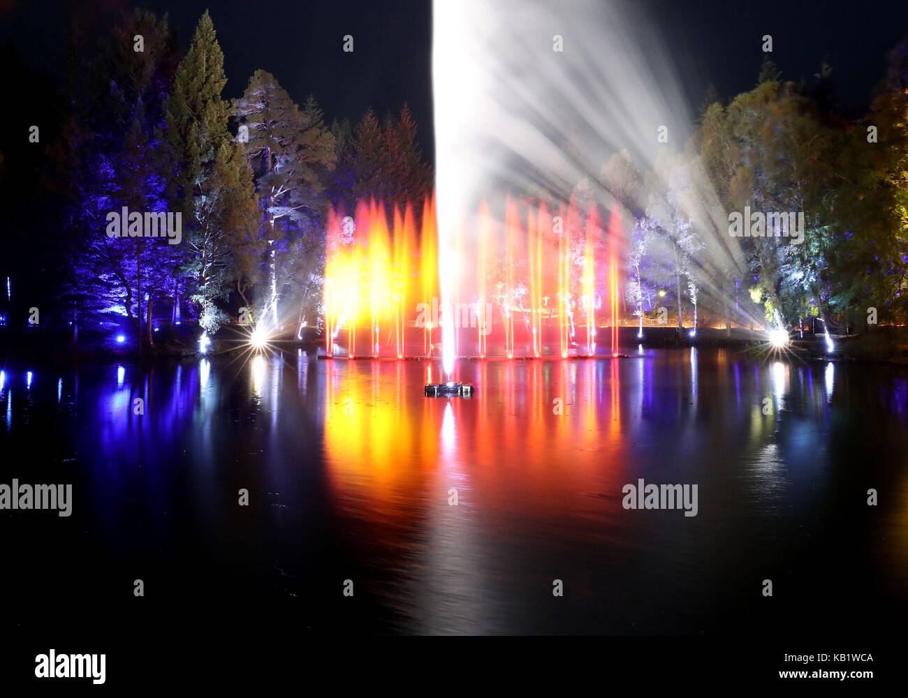 Bäume sind im verzauberten Wald Ton- und Licht Show im faskally Wood in Pitlochry beleuchtet. Stockfoto