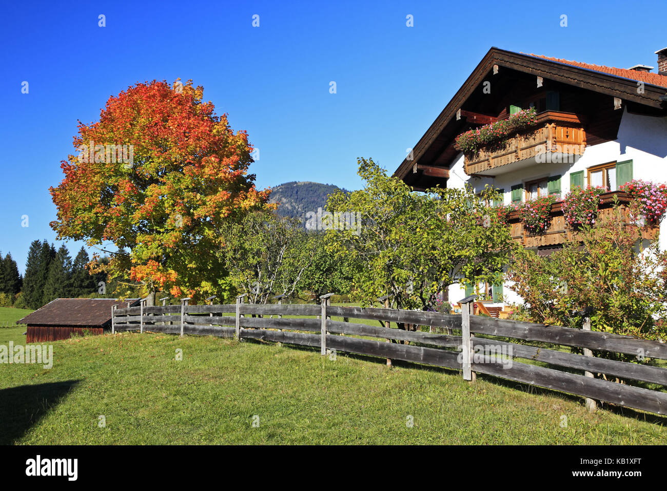 Deutschland, Bayern, Oberbayern, Werdenfelser Land (Region), Gerold, Stockfoto