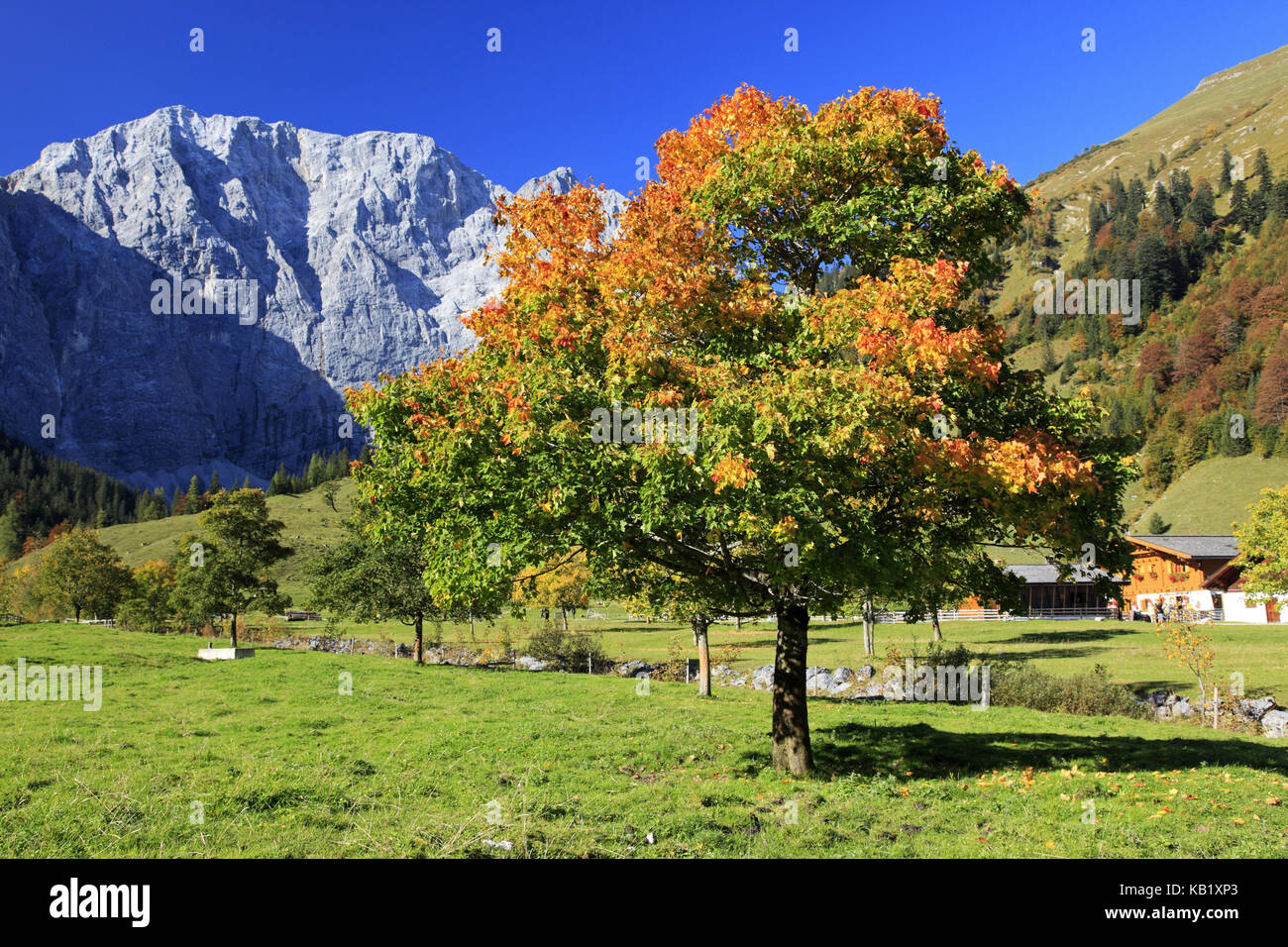 Österreich, Tirol, Engtal, Eng, Großer Ahornboden, Karwendel, Stockfoto