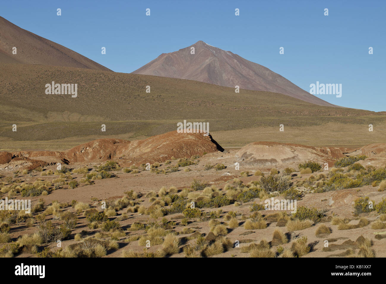 Bolivien, Los Lipez, Mirador Volcan Ollagüe, Stockfoto