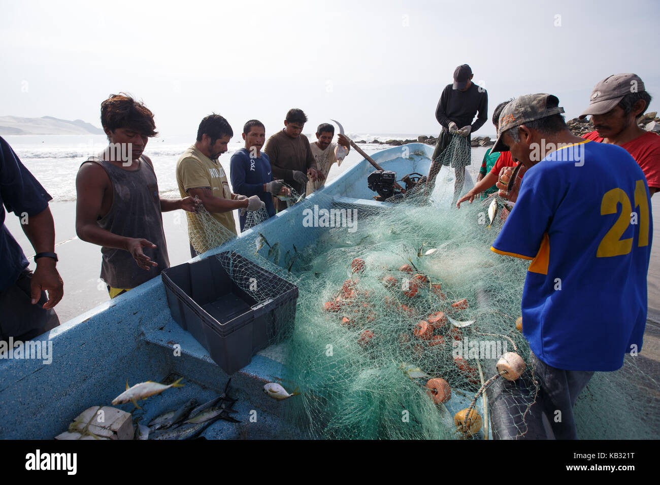 Einem einarmigen Fisherman trennt sich von Fisch aus dem Net im La Bamba Strand in Salina Cruz, Oaxaca, Mexiko. Stockfoto