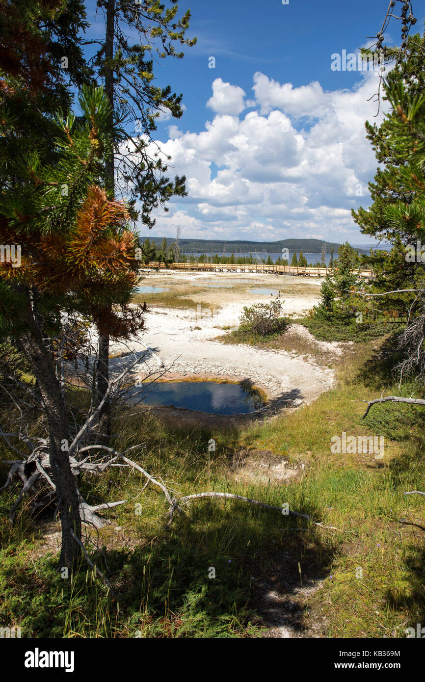 Yellowstone Nationalpark, Wyoming Stockfoto