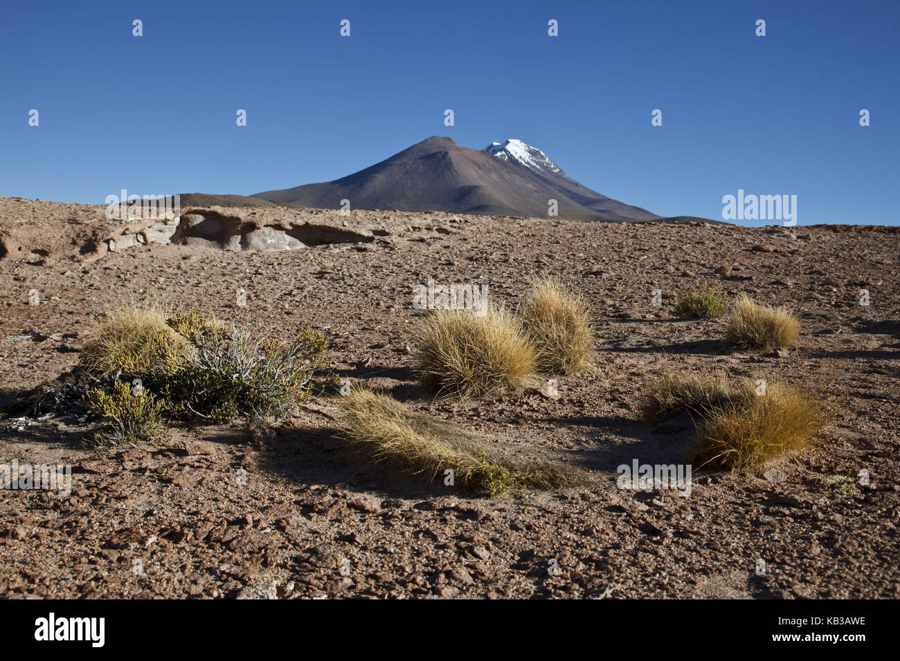 Bolivien, Los Lipez, Mirador Volcan Ollagüe, Stockfoto
