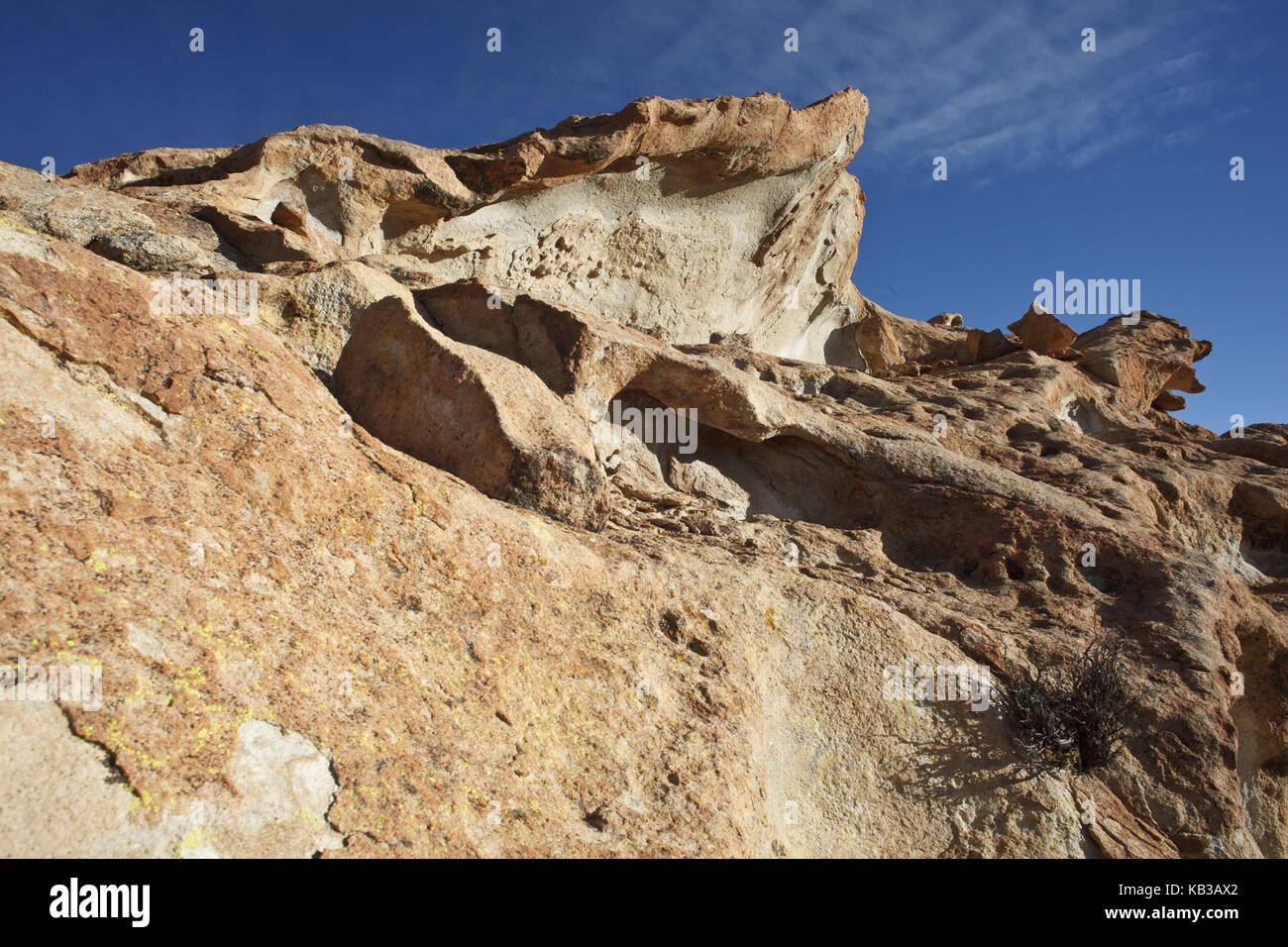 Bolivien, los Lipez, Valle de las Rocas, Stockfoto Bolivien, los Lipez, Valle de las Rocas, Stockfoto