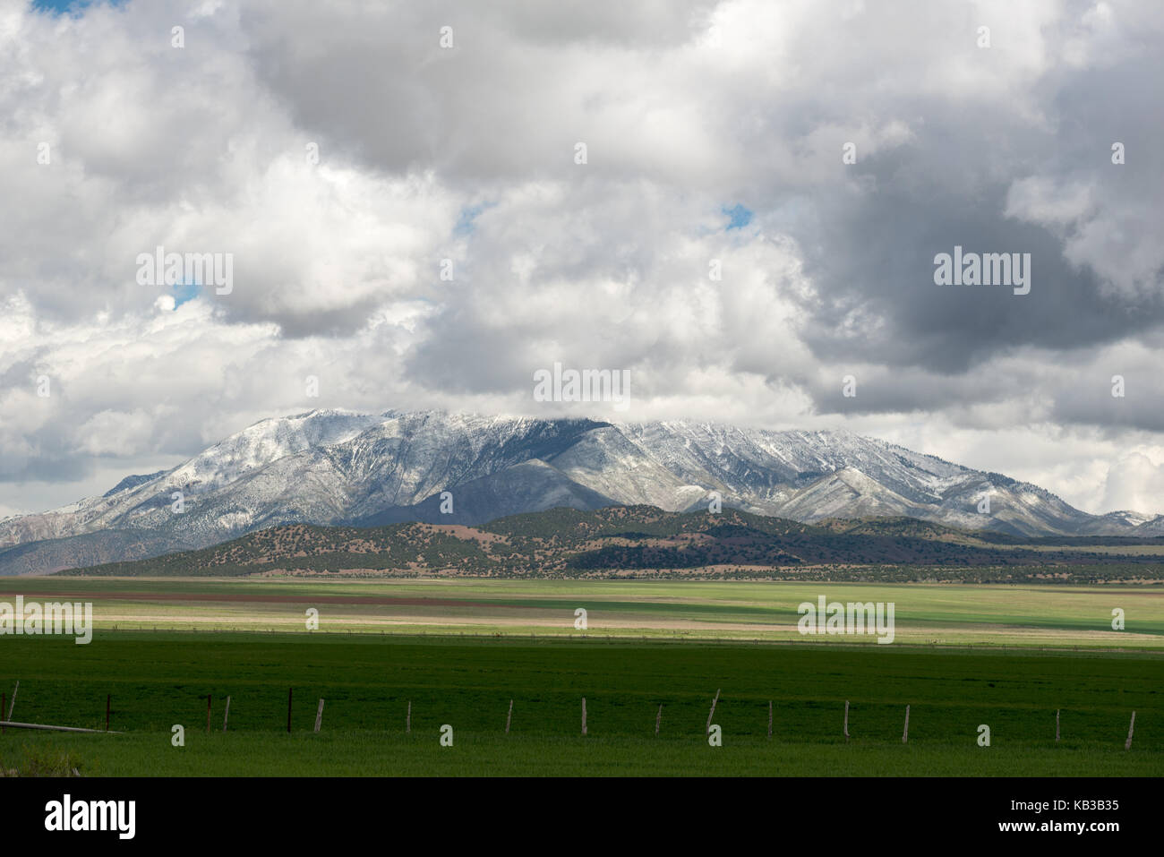 Frischer Frühling Schnee auf dem Mt. Nebo am südlichen Ende der Wasatch Range, Utah Stockfoto