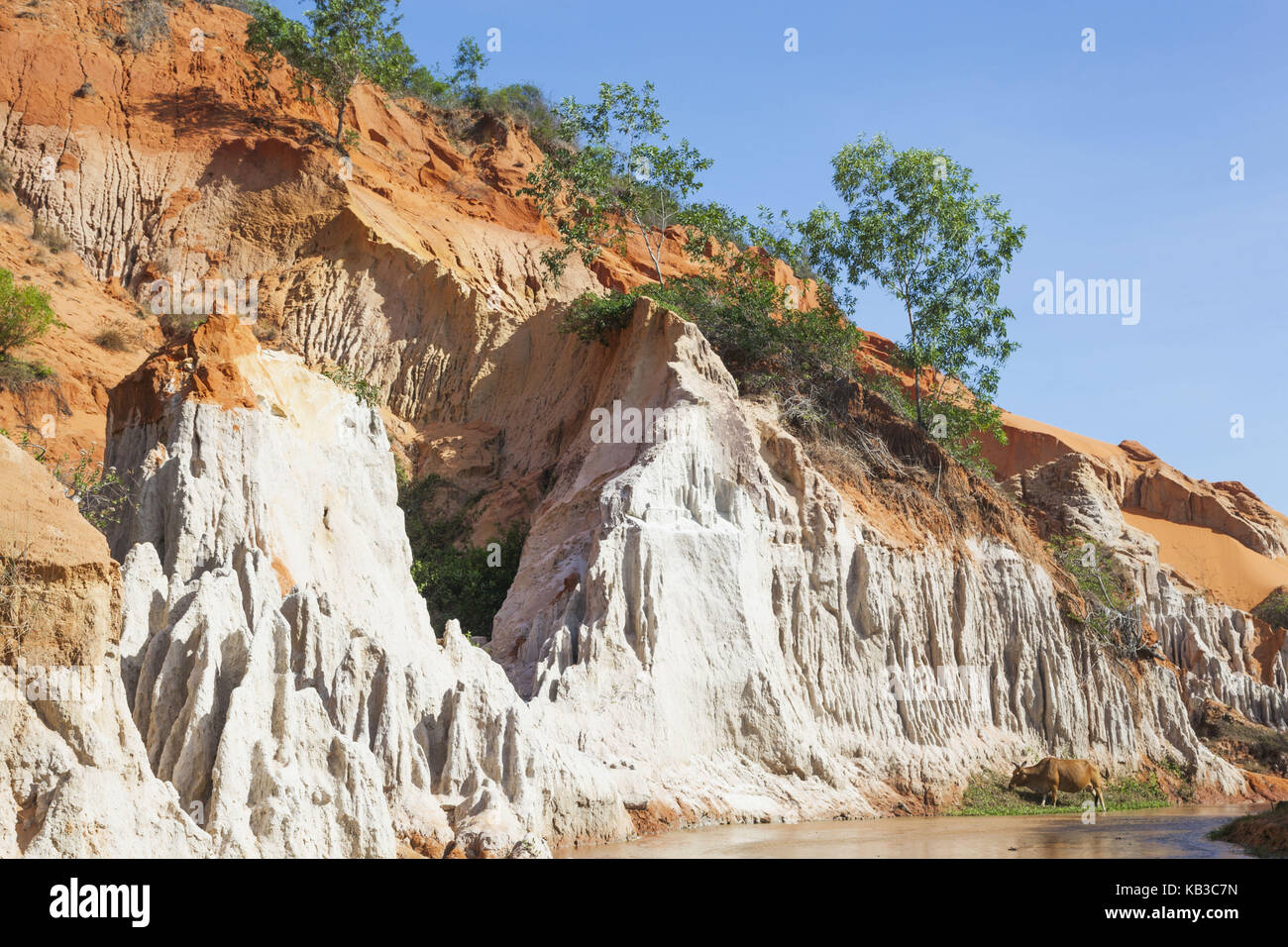 Vietnam, Mui Ne, Red Sand's Canyon und Quelle Suoi Tien, Stockfoto