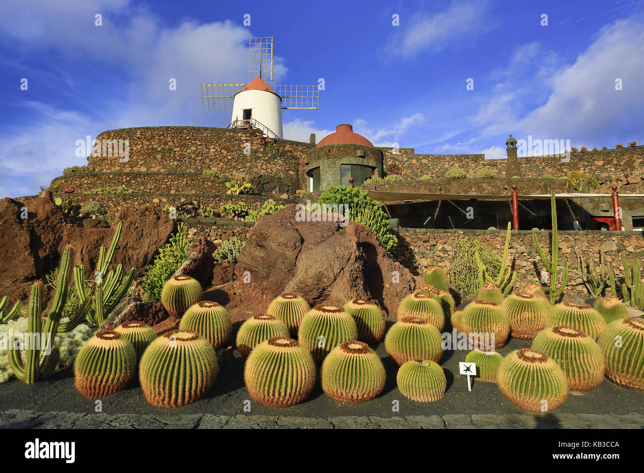 Spanien, Kanarische Inseln, Lanzarote, Guatiza, Kaktusgarten, Stockfoto