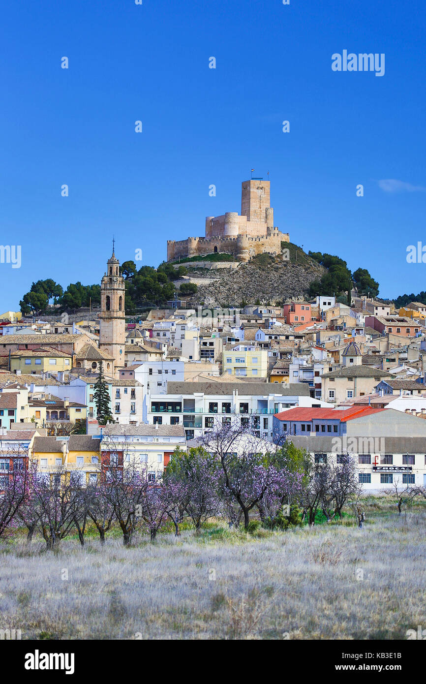 Spanien, Region Valencia, Provinz Alicante, Biar, Schloss Biar, blühende Mandelbäume Stockfoto