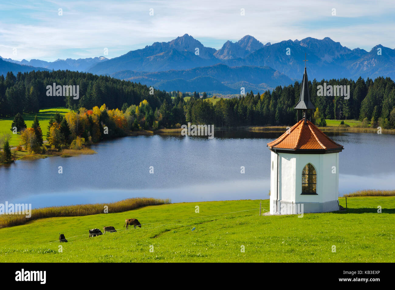 Hergratrieder Teich am Forggensee bei Füssen. Stockfoto