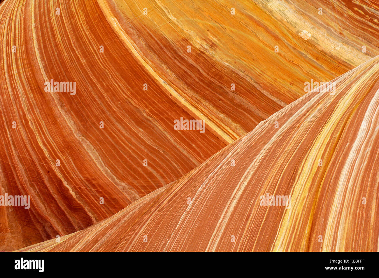 Coyote buttress, den USA, Stockfoto