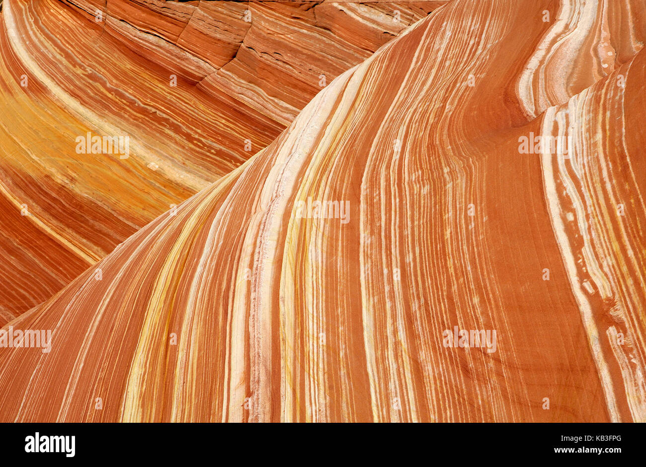 Coyote buttress, den USA, Stockfoto