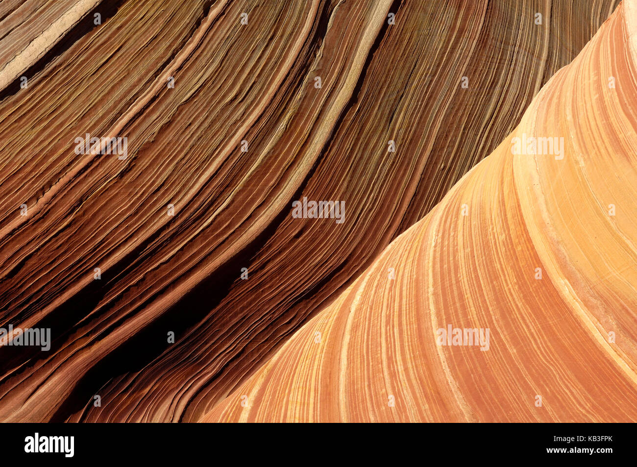 Coyote buttress, den USA, Stockfoto